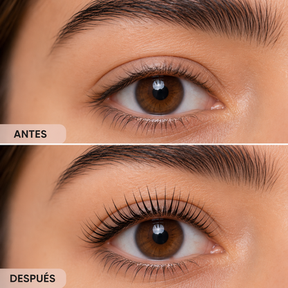 Rizador Lash Pro